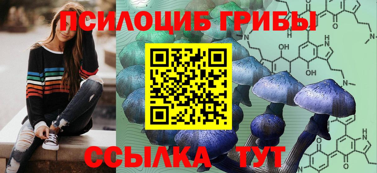 Каспийск  Псилоцибиновые грибы прущие грибы  Вход с VPN  Псилоцибиновые грибы Cubensis 