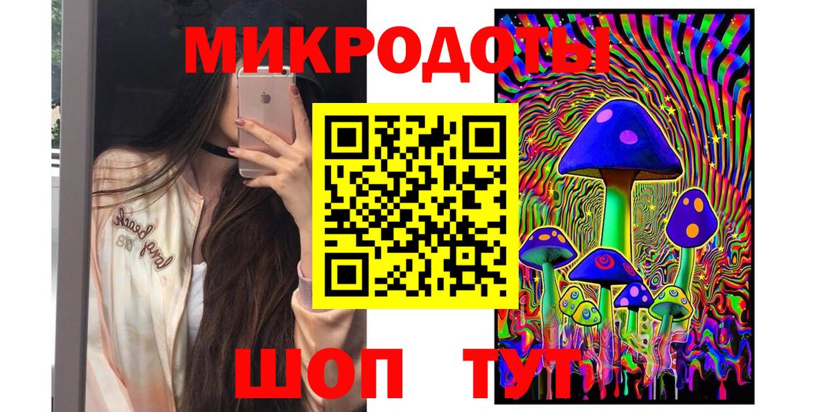 Псилоцибиновые грибы Psilocybe Каспийск